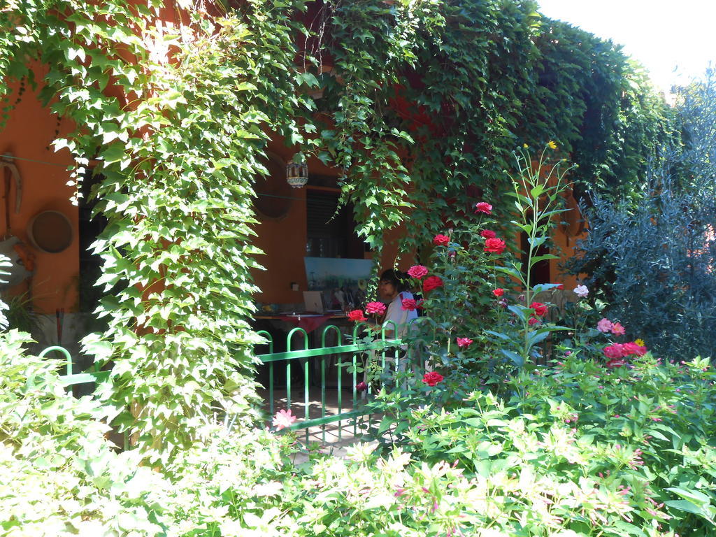 La Derrubia Guest House Villamalea Екстериор снимка